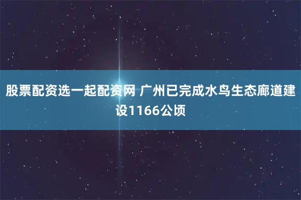 股票配资选一起配资网 广州已完成水鸟生态廊道建设1166公顷