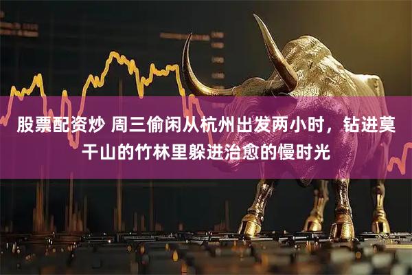 股票配资炒 周三偷闲从杭州出发两小时，钻进莫干山的竹林里躲进治愈的慢时光