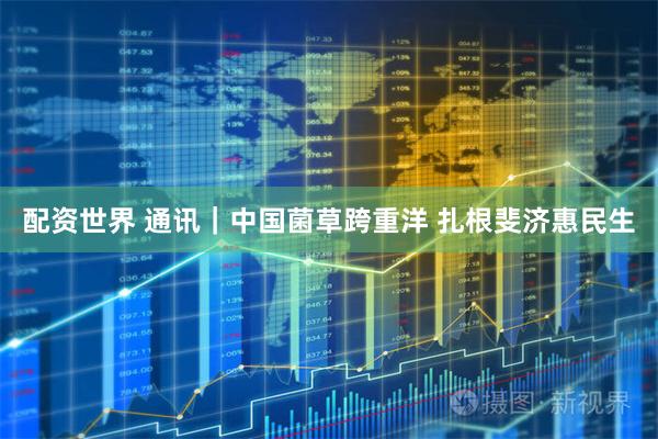 配资世界 通讯｜中国菌草跨重洋 扎根斐济惠民生