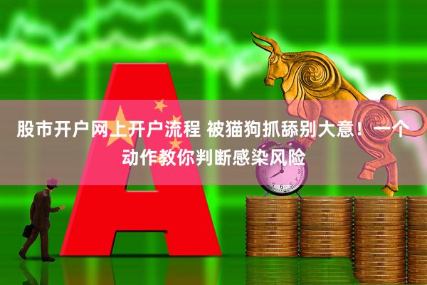 股市开户网上开户流程 被猫狗抓舔别大意！一个动作教你判断感染风险
